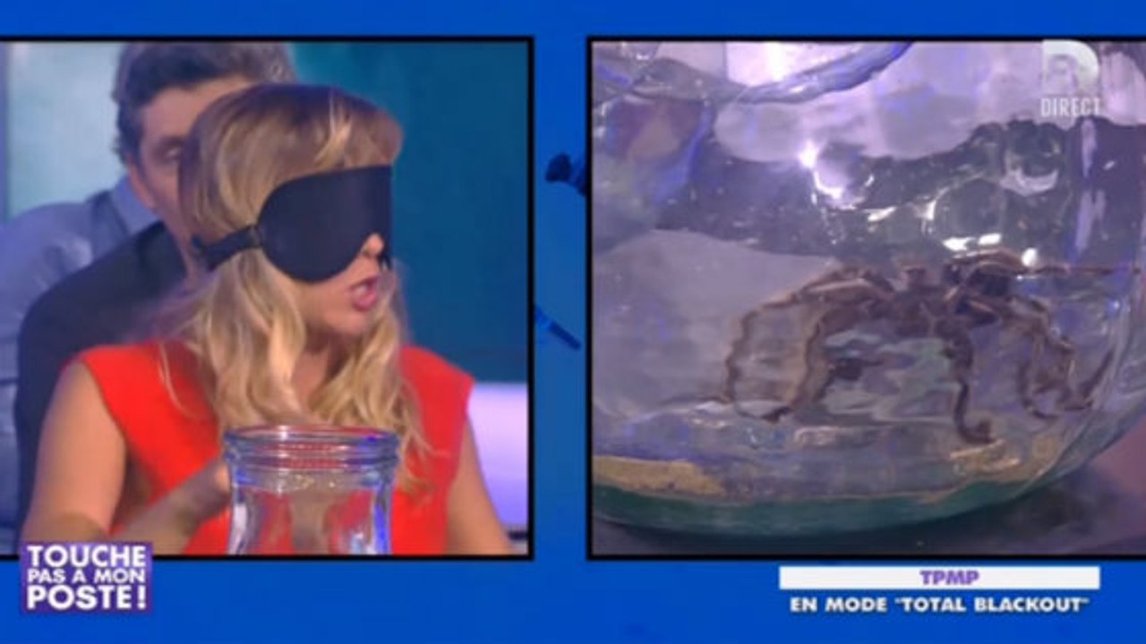 Touche pas à mon poste : Enora Malagré terrifiée en testant un jeu les yeux bandés