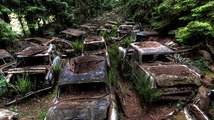 En Belgique, ce cimetière de voitures est abandonné depuis 70 ans !