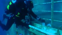 Un plongeur filme des images inédites de l'épave du Costa Concordia
