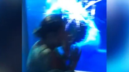 Ce requin brise la vitre d'un aquarium en attaquant une femme !
