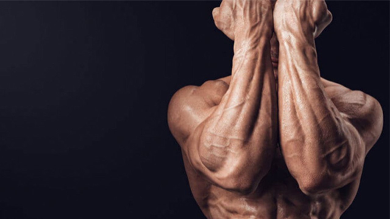 Une séance de musculation pour se forger des avant-bras en béton