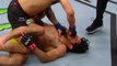UFC Phoenix : Luke Sanders claque le gros KO contre Renan Barao