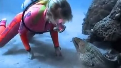 Cette plongeuse réalise quelque chose d'incroyable avec une murène !