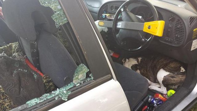 Des policiers brisent la vitre d'une voiture pour sauver un chien enfermé en pleine canicule