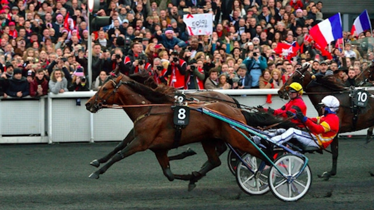 Grand Prix d'Amérique : à la rencontre d'un driver du Vincennes Hippodrome de Paris
