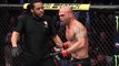 UFC 235 : Ce qu'a dit Robbie Lawler à l'arbitre Herb Dean juste après son arrêt prématuré