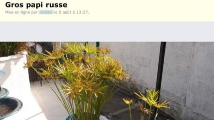 Le Bon Coin : un étrange ''gros papi russe'' à vendre sur le site