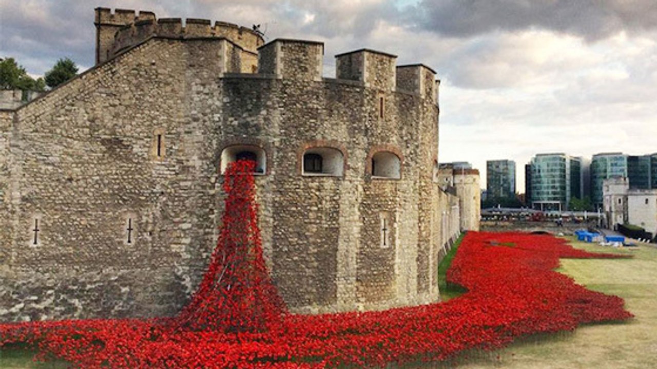 Angleterre : La Tour de Londres envahie par plus de 800 000 coquelicots