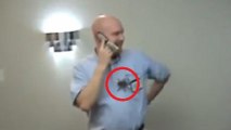 Des employés de bureau terrorisent leur collègue avec une araignée