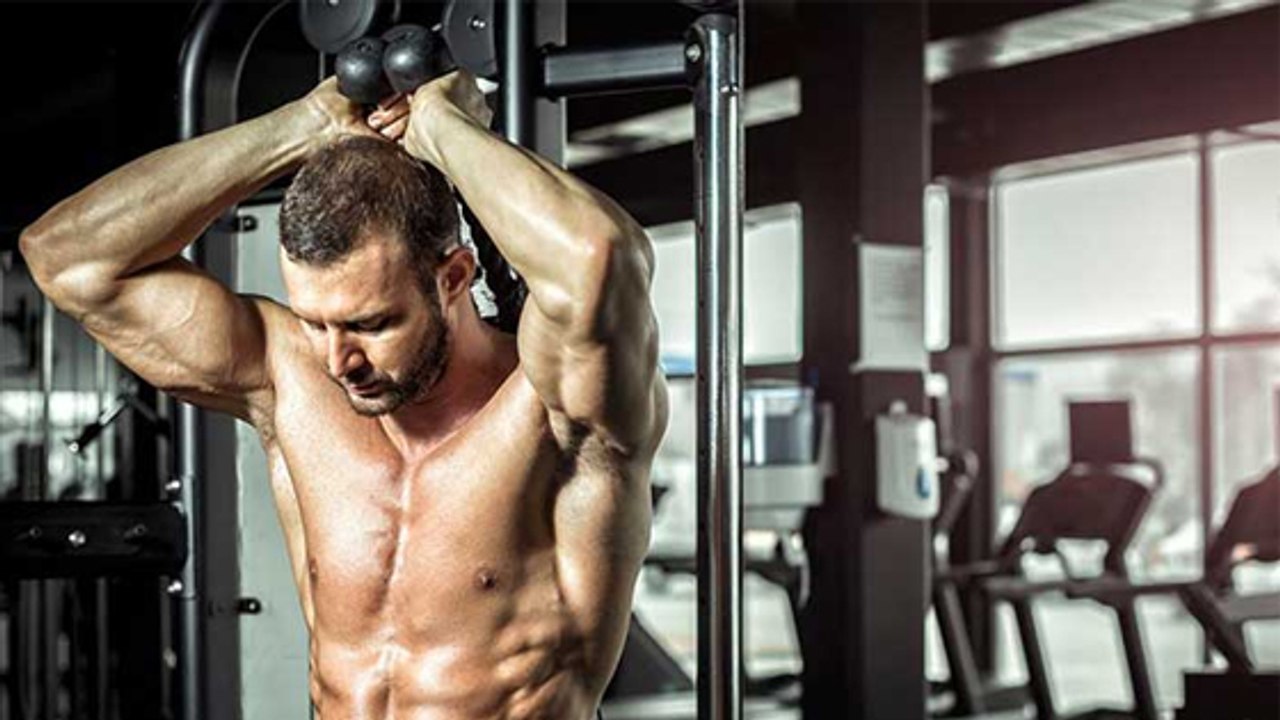 Les meilleurs exercices pour muscler vos triceps et avoir enfin de gros bras