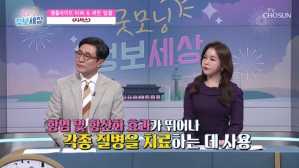 식욕조절을 도와서 비만을 잡자↗ ✧시서스✧ TV CHOSUN 220311 방송