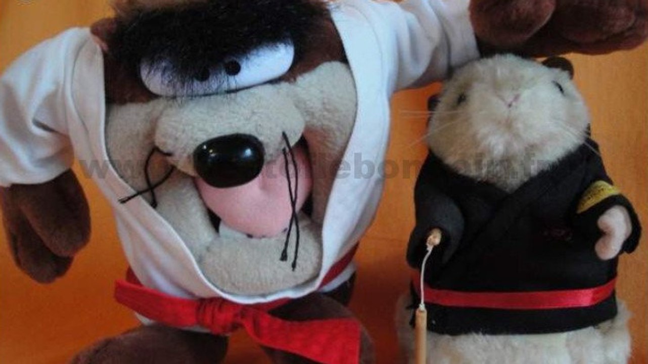 Le Bon Coin : une annonce hilarante d'une vente de peluches Taz et Kung Fu Marmotte