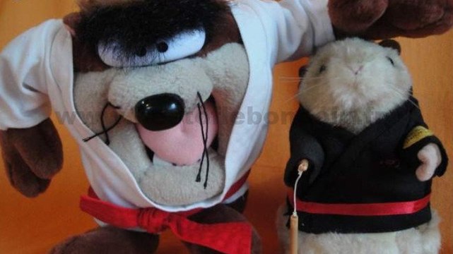 Le Bon Coin : une annonce hilarante d'une vente de peluches Taz et Kung Fu Marmotte