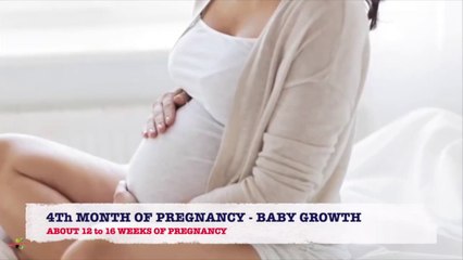 Baby Development In Womb By 4th Month Of Pregnancy | What Changes Mother See By 4th Month Of Pregnancy