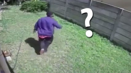 Vous ne devinerez jamais quelle bête effrayante a fait fuir ce cambrioleur