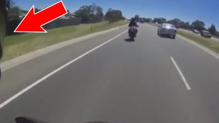 Un kangourou bondit au-dessus d'un motard sur une autoroute !