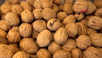 Tartışan çiftin birbirine fırlattığı ceviz ve tabak 'silah' sayıldı