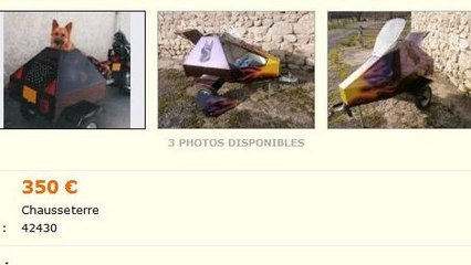 Le Bon Coin : il met en vente une remorque moto très spéciale pour les chiens