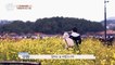 [선공개] 21년만에 새로운 추억을 만들다!? 유채꽃밭에서 만난 아들과 여행