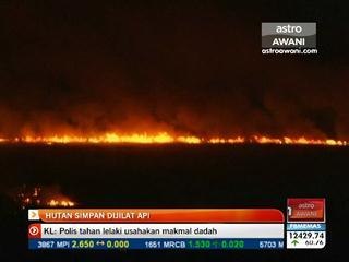 Hutan simpan Argentina dijilat api