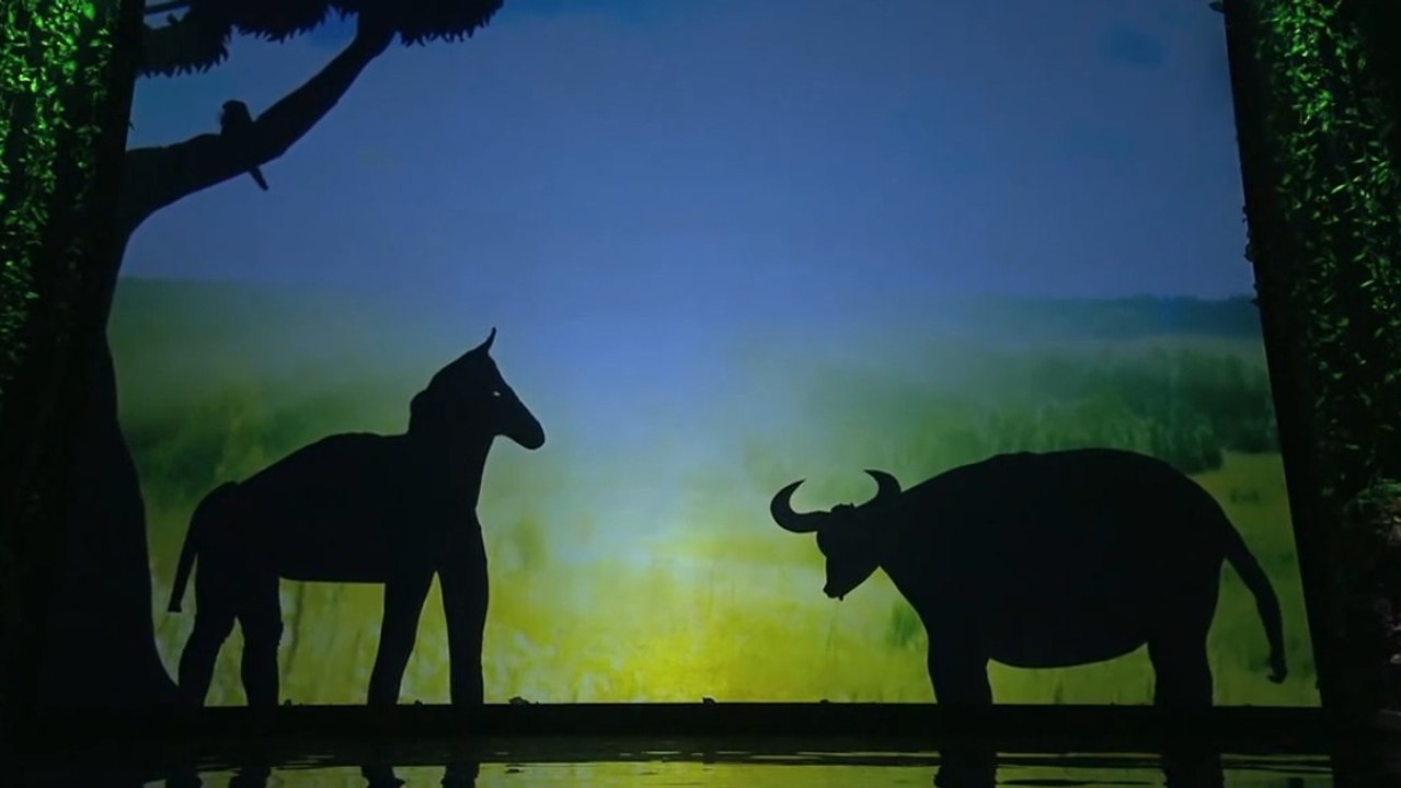 Un spectacle d'ombres chinoises à couper le souffle