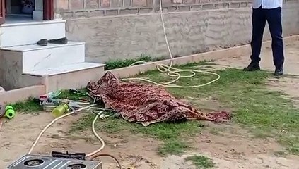 Honor killing : यह थी बहन की दर्दनाक हत्या की वजह, देखें यह video