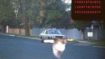 Il évite une amende et un retrait de permis grâce... à un oiseau