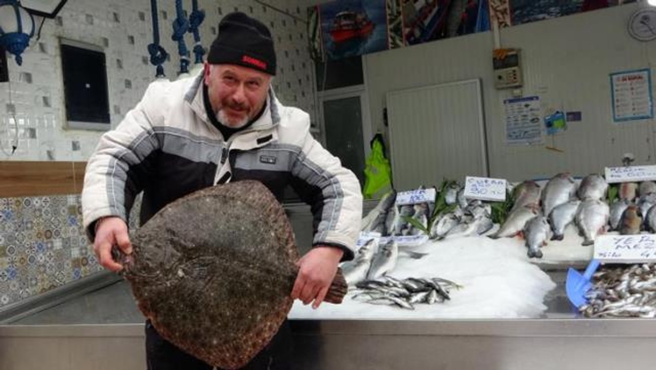Sinop'ta yakalanan 5 kiloluk kalkan balığı 3 bin liraya satıldı