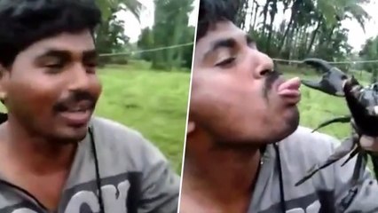 Un homme s'amuse à mettre sa langue dans la pince d'un crabe