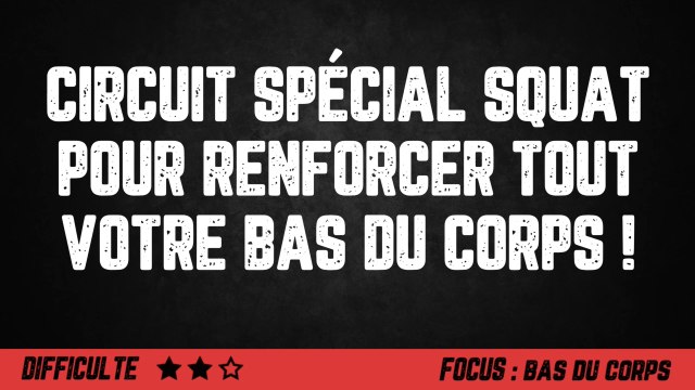 Squat : Un programme simple et efficace pour muscler le bas du corps