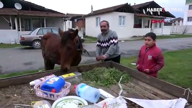 Düzce'de bir hurdacı, atı yorulunca arabayı kendisi çekti