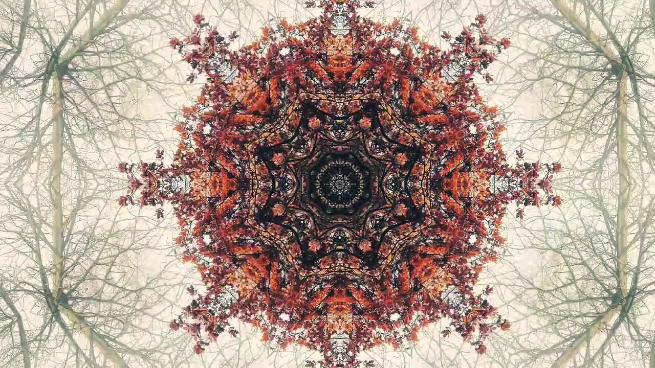 Cronic (Ethnic House Music)