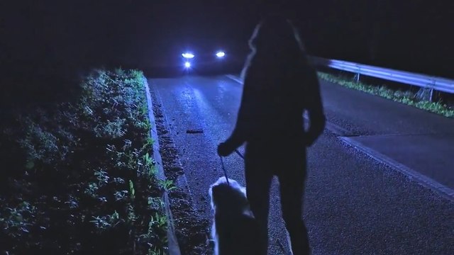 Ces feux de voiture équipés d'une caméra thermique vous éviteront bientôt des dangers la nuit