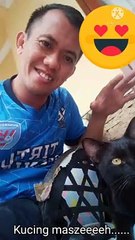 KUCING KU HITAM YANG GEMES