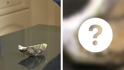 Il fait une découverte incroyable à l'intérieur d'une huître