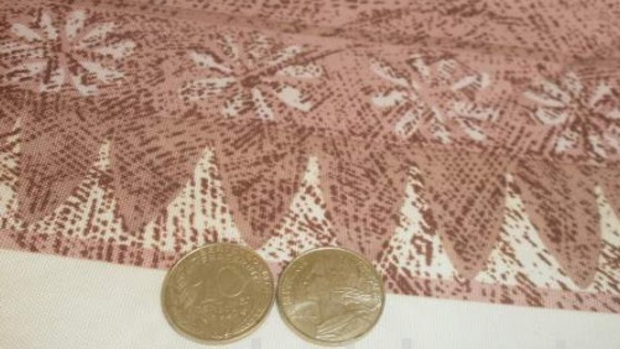 Le Bon Coin : il vend des pièces datant des francs ou peut-être de l'époque égyptienne