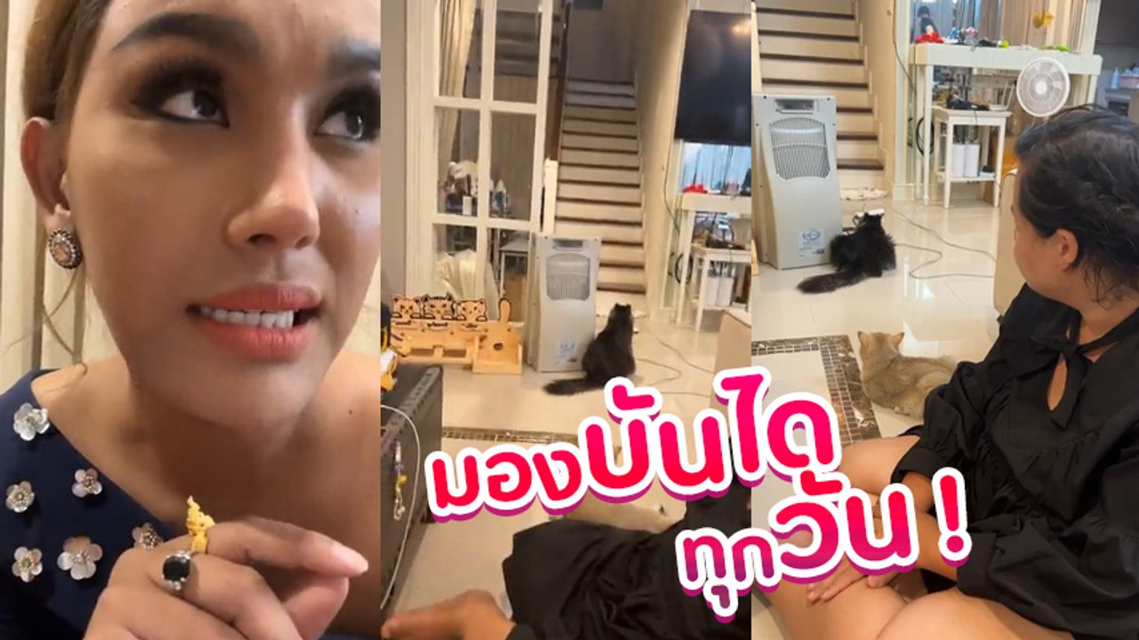 แอนนา ทีวีพูล เผย แมว 3 ตัว ของแตงโม นั่งมองบัน...