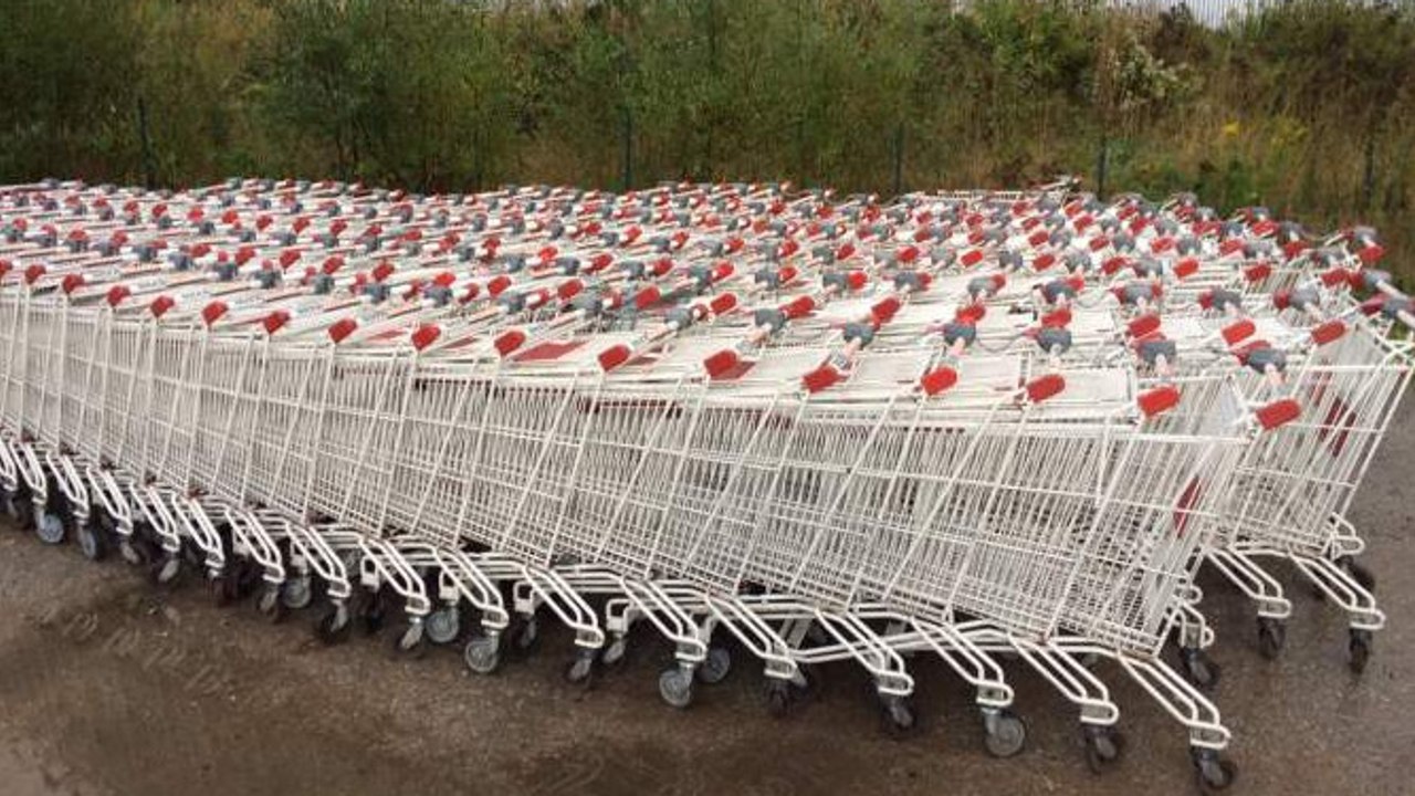 Leboncoin : un lot de 160 chariots pour faire ses courses