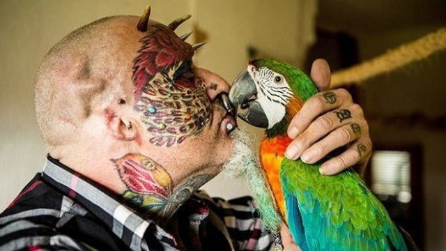 Il se coupe les oreilles pour ressembler à un perroquet