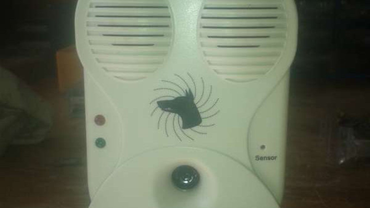 Leboncoin : un appareil anti aboiement pour chien et chat