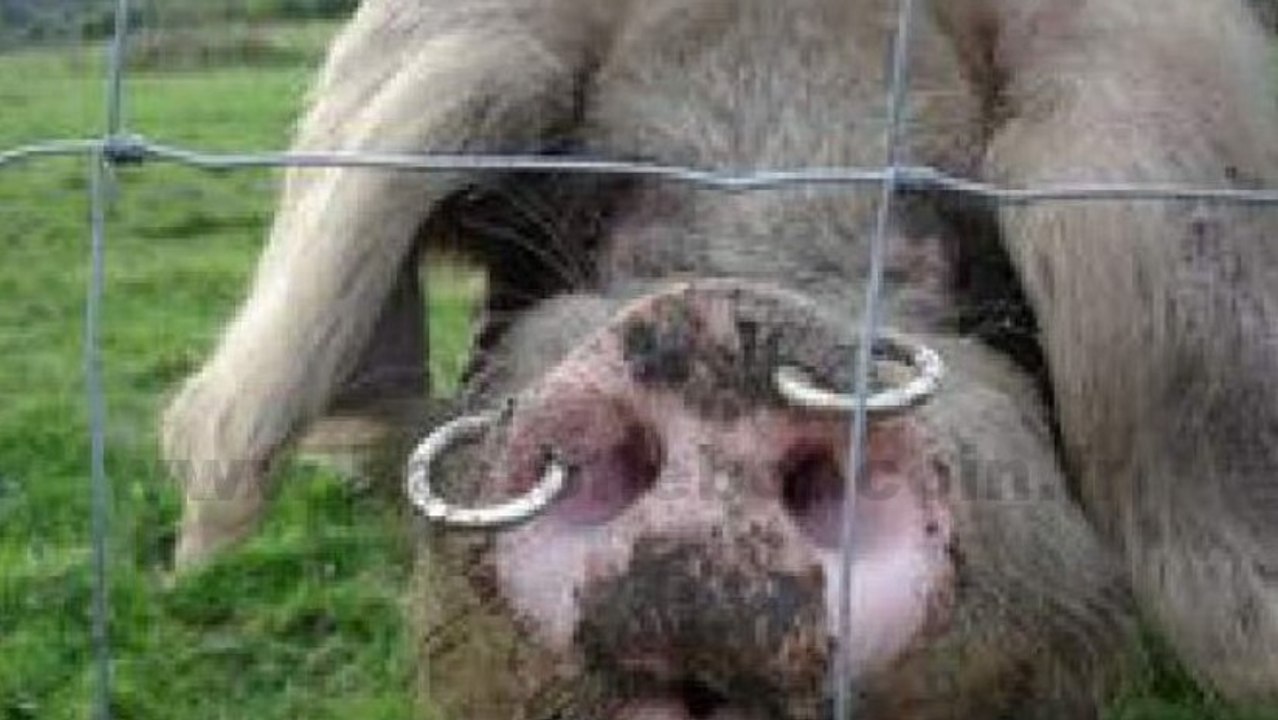 Leboncoin.fr : une offre qui fait sens, à une lettre près