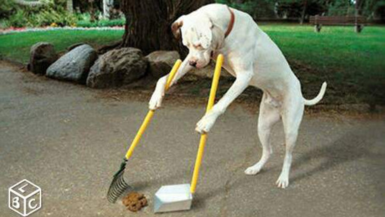 Leboncoin.fr : Une pelle pour ramasser les crottes de chien