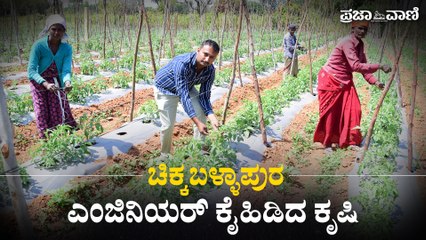 Video | ಚಿಕ್ಕಬಳ್ಳಾಪುರ: ಎಂಜಿನಿಯರ್ ಕೈಹಿಡಿದ ಕೃಷಿ