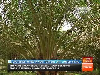 CPO prices to rise in near term but with limited upside