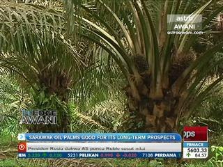 Sarawak Oil Palms good for its long terms prospect