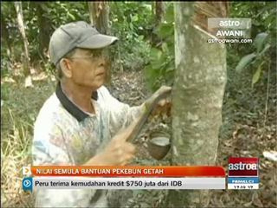 Nilai semula bantuan pekebun getah