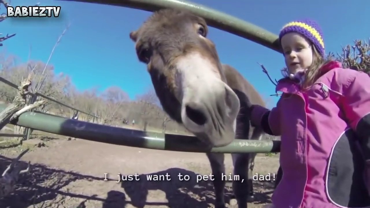 Les bébés drôles au zoo - Les enfants au zoo Nouvelle compilation