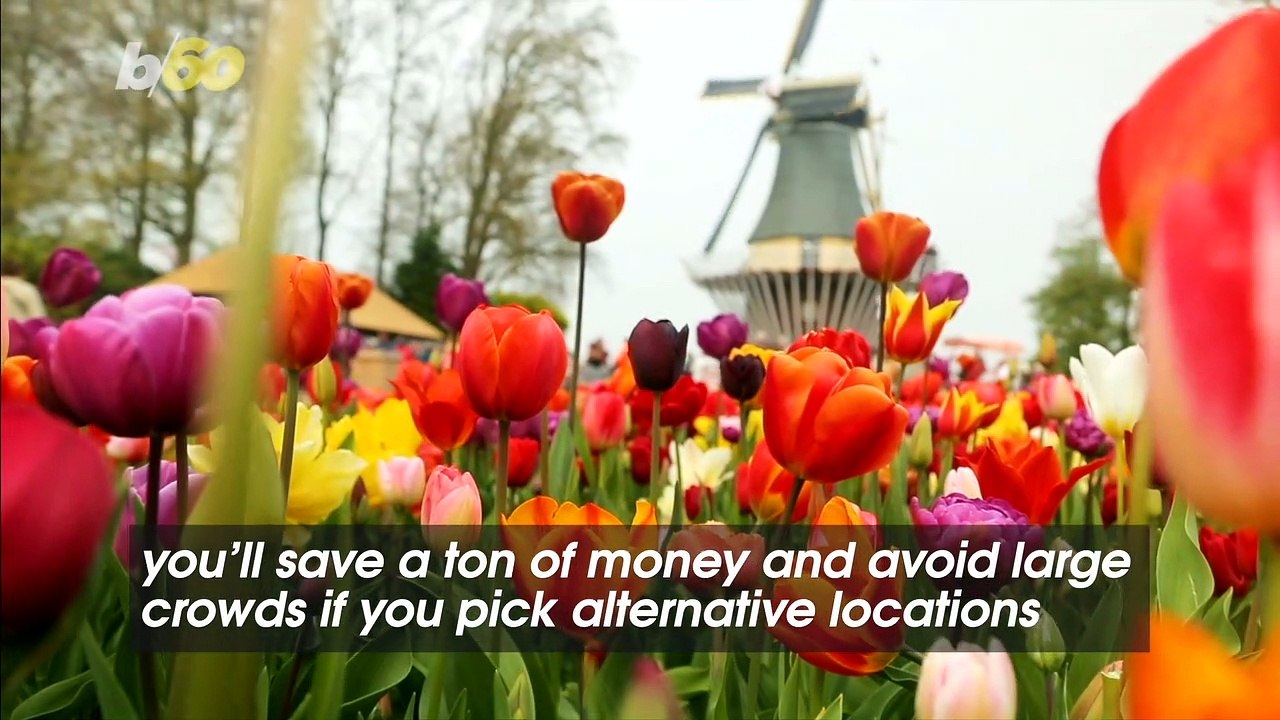 Common Mistakes People Make When Booking Summer Vacations