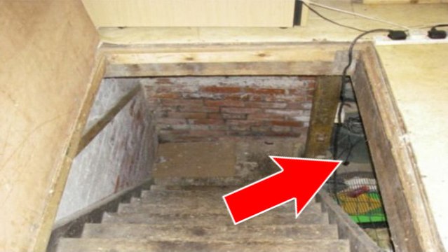 Angleterre : ce vétérinaire cachait un lourd secret au sous-sol de son cabinet