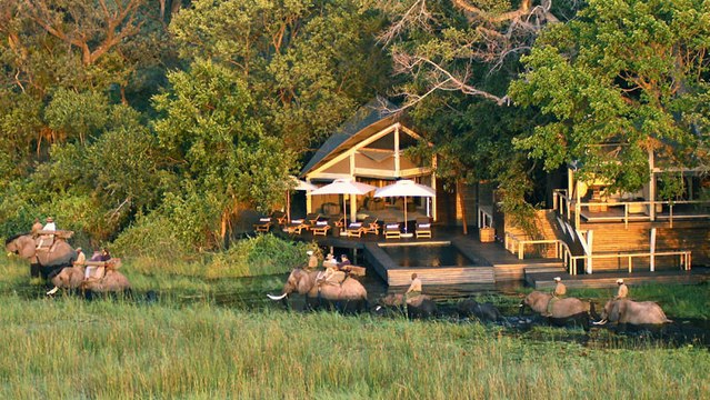 Abu Camp au Botswana est l'un des safaris les plus luxueux au monde